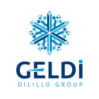 Geldi Group